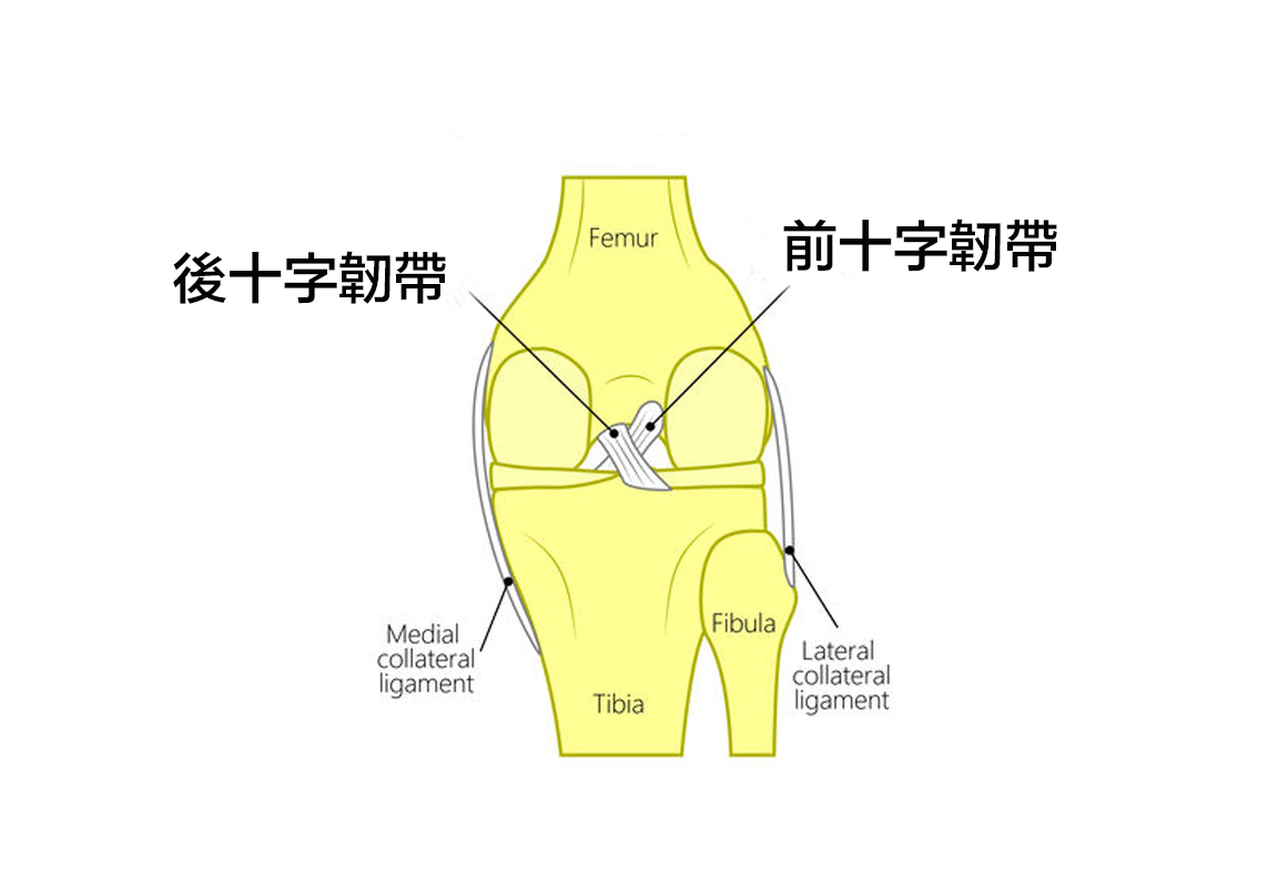 膝關節重傷害 十字韌帶斷裂 福雅骨科 家庭醫學科診所